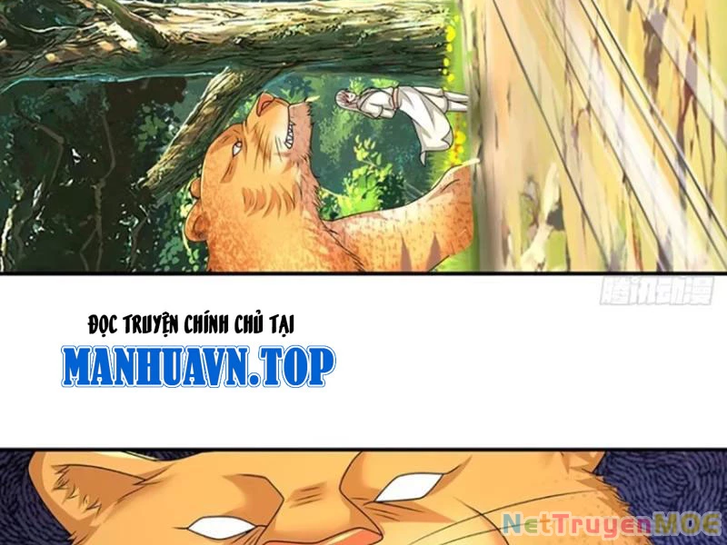 Khắc Đan Tu Tiên Cầu Trường Sinh Chapter 71 - Trang 2