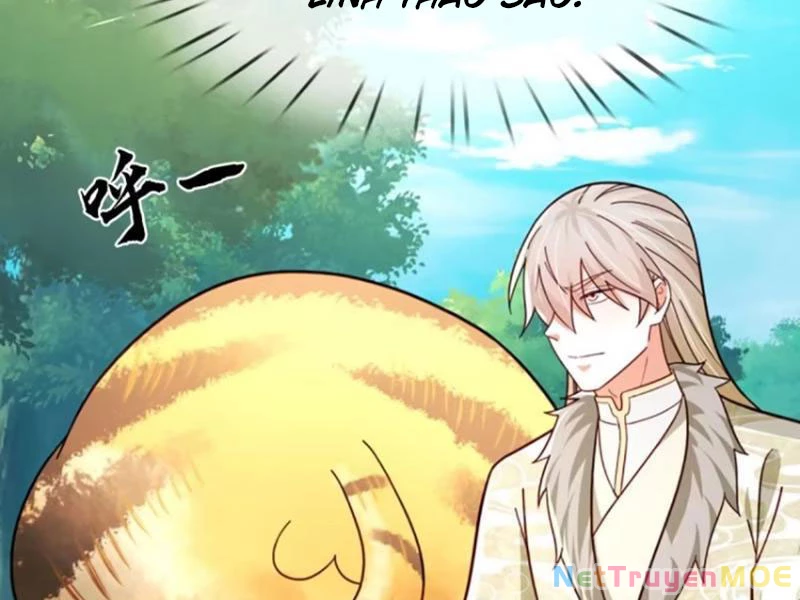 Khắc Đan Tu Tiên Cầu Trường Sinh Chapter 72 - Trang 2