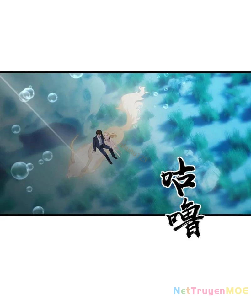 Đô Thị Thánh Thủ: Ta Là Y Võ Đỉnh Phong Chapter 116 - Trang 3