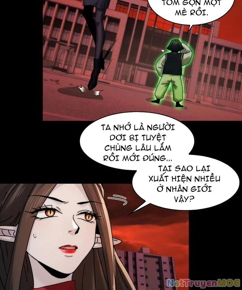 Trước mặt bệnh tâm thần, quỷ dị chẳng là gì cả Chapter 87 - Trang 3