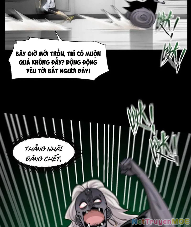 Trước mặt bệnh tâm thần, quỷ dị chẳng là gì cả Chapter 115 - Trang 3