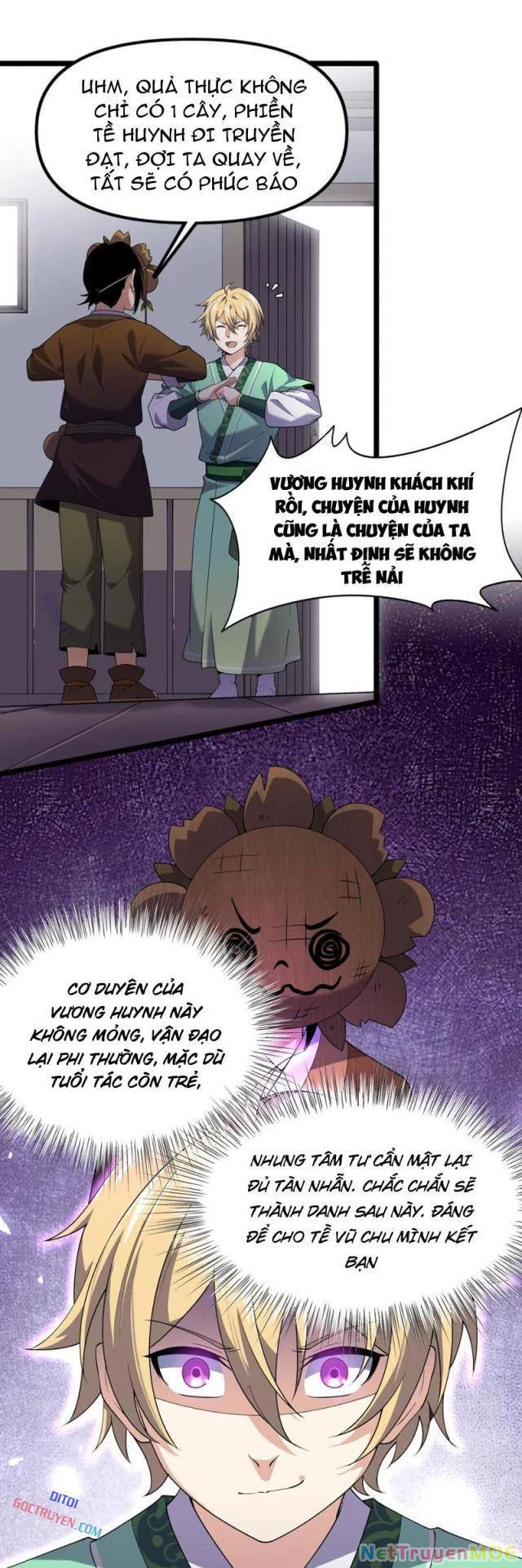Xuyên Không Đến Thế Giới Tu Chân, Ta Vậy Mà Kích Hoạt Được Hệ Thống Plants vs Zombie Chapter 13 - Trang 2