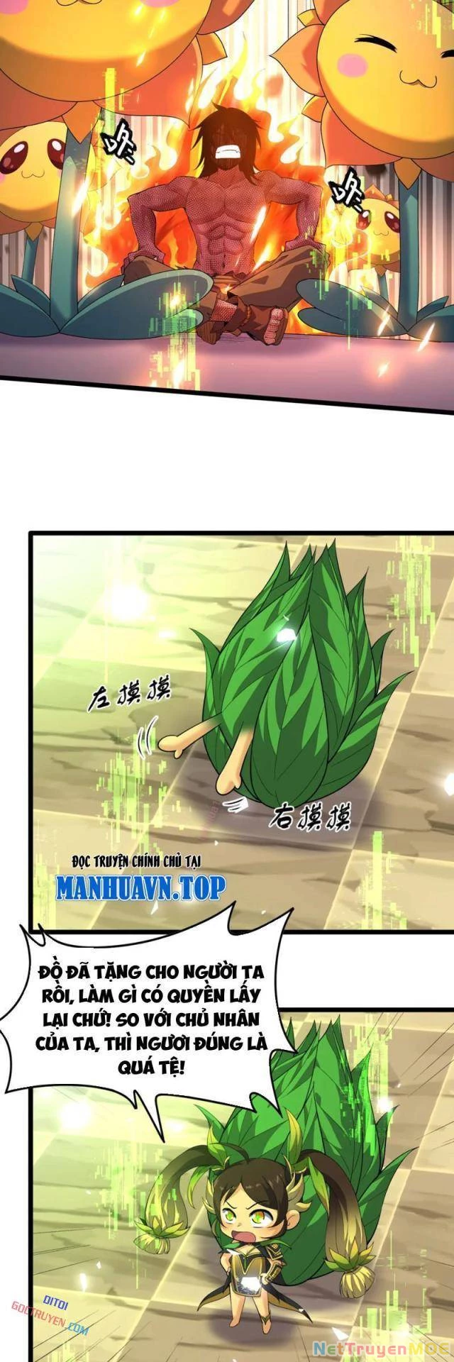 Xuyên Không Đến Thế Giới Tu Chân, Ta Vậy Mà Kích Hoạt Được Hệ Thống Plants vs Zombie Chapter 13 - Trang 2