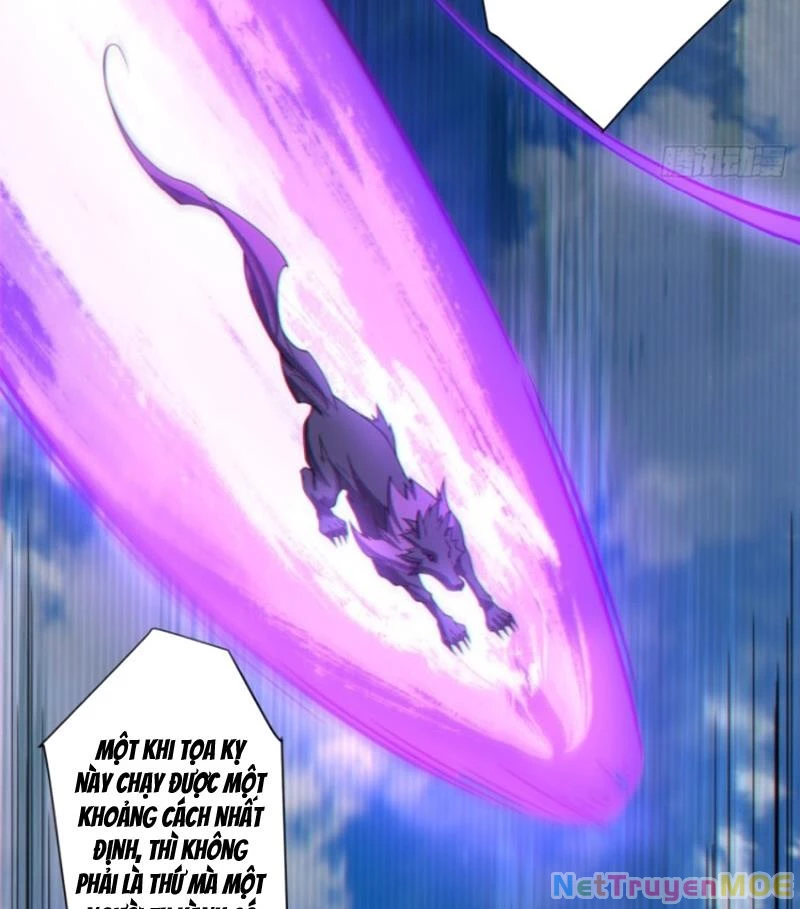 Đồ Đệ Của Ta Đều Là Đại Phản Phái Chapter 353 - Trang 4