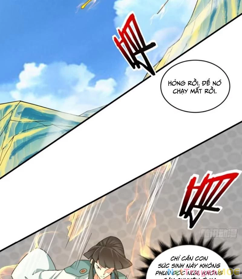 Đồ Đệ Của Ta Đều Là Đại Phản Phái Chapter 353 - Trang 4