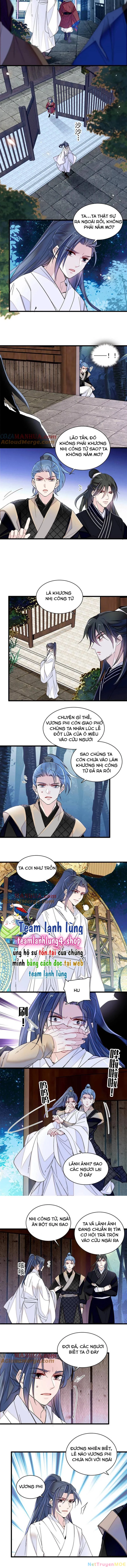 Tự Cẩm Chapter 291 - Trang 3