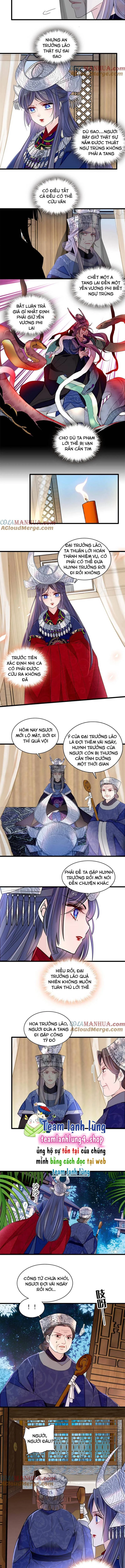 Tự Cẩm Chapter 291 - Trang 3