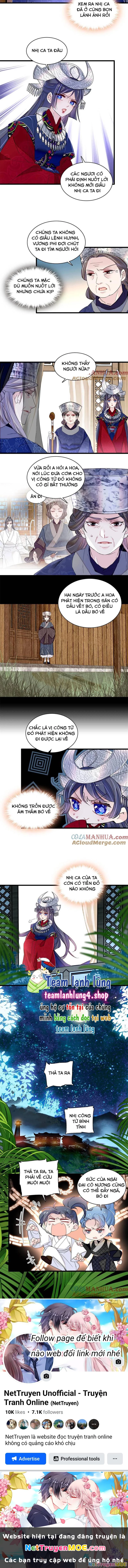 Tự Cẩm Chapter 291 - Trang 3