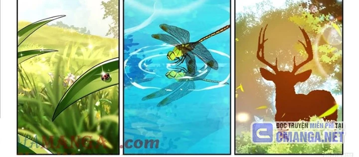 Chung Cực Đấu La Chapter 611 - Next Chapter 612