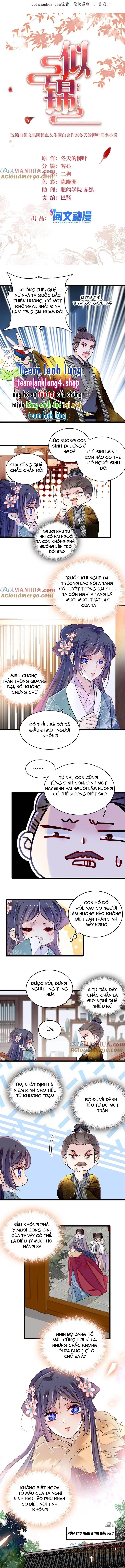 Tự Cẩm Chapter 305 - Trang 4