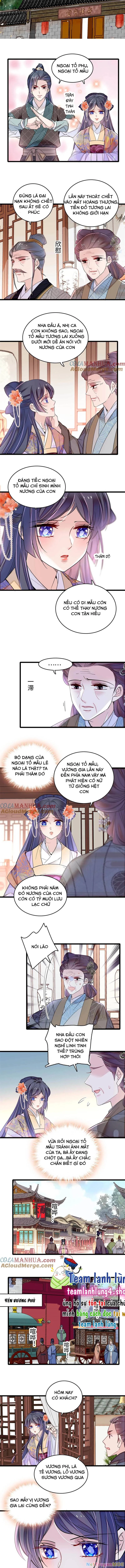 Tự Cẩm Chapter 305 - Trang 4