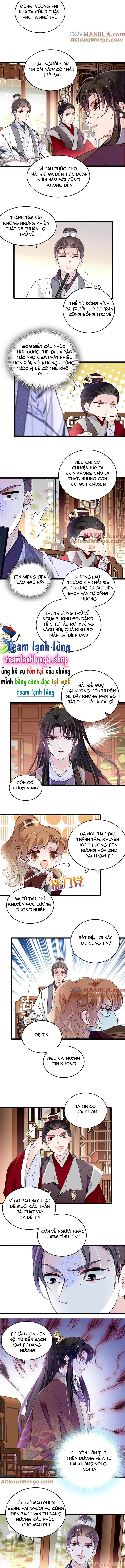 Tự Cẩm Chapter 305 - Trang 4