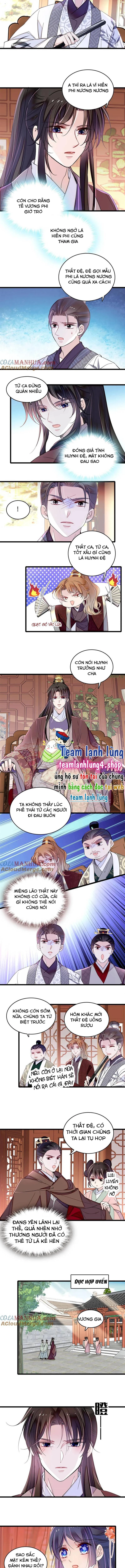 Tự Cẩm Chapter 305 - Trang 4