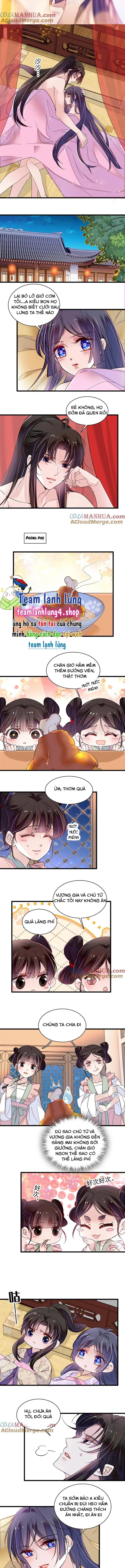 Tự Cẩm Chapter 306 - Trang 4
