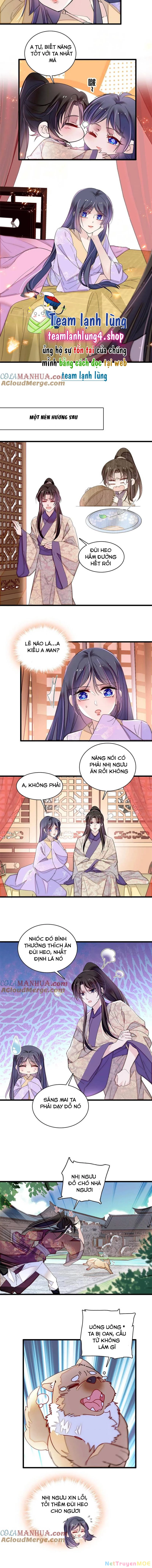 Tự Cẩm Chapter 306 - Trang 4