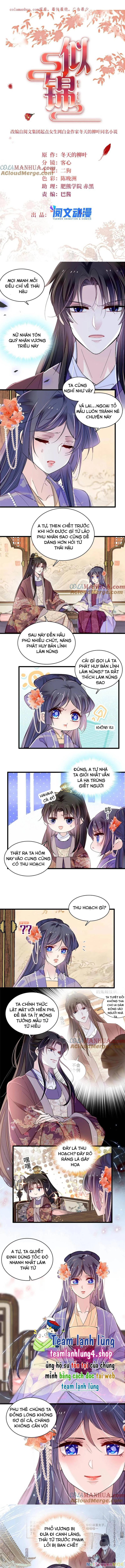 Tự Cẩm Chapter 313 - Trang 4