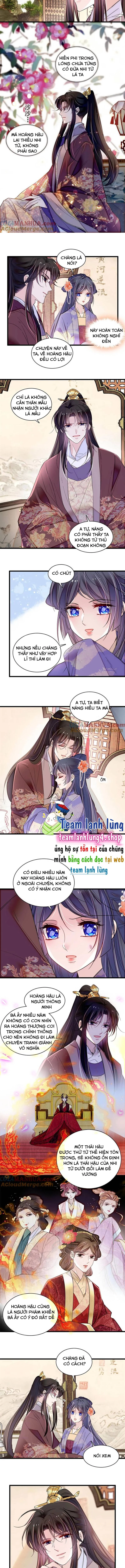 Tự Cẩm Chapter 313 - Trang 4