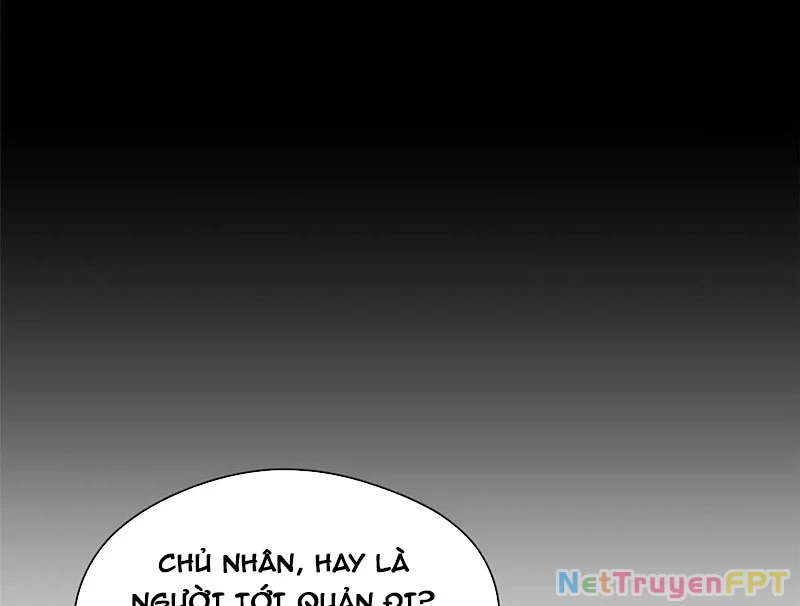 Đỉnh Cấp Khí Vận, Lặng Lẽ Tu Luyện Ngàn Năm Chapter 209 - Trang 2