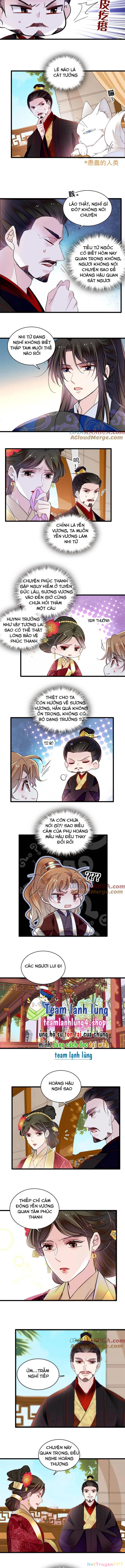 Tự Cẩm Chapter 320 - Trang 4