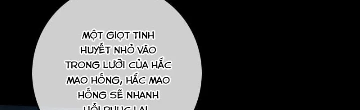 Kiếp Thiên Vận Chapter 232 - Next Chapter 233