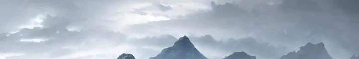 Xuyên Không Thành Chim Chapter 231 - Trang 2