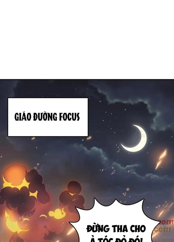 Xuyên Không Thành Chim Chapter 231 - Trang 2