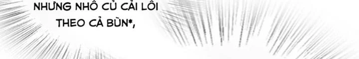 Xuyên Không Thành Chim Chapter 231 - Trang 2