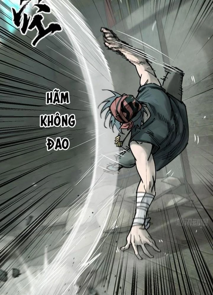 Xuyên Không Thành Chim Chapter 239 - Trang 2