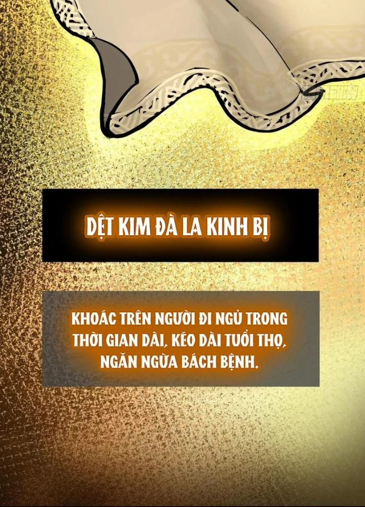 Xuyên Không Thành Chim Chapter 244 - Trang 2