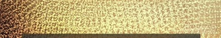 Xuyên Không Thành Chim Chapter 244 - Trang 2