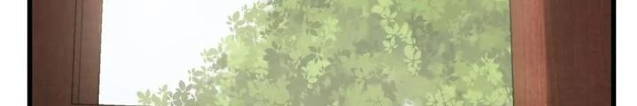 Xuyên Không Thành Chim Chapter 247 - Trang 2