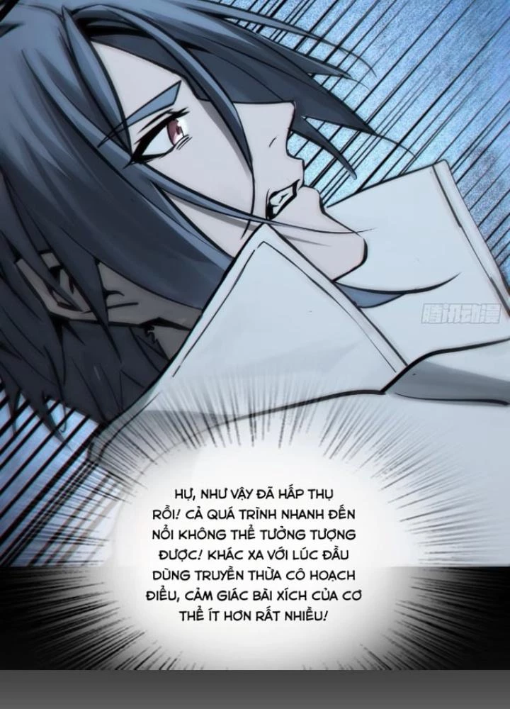 Xuyên Không Thành Chim Chapter 250 - Trang 2