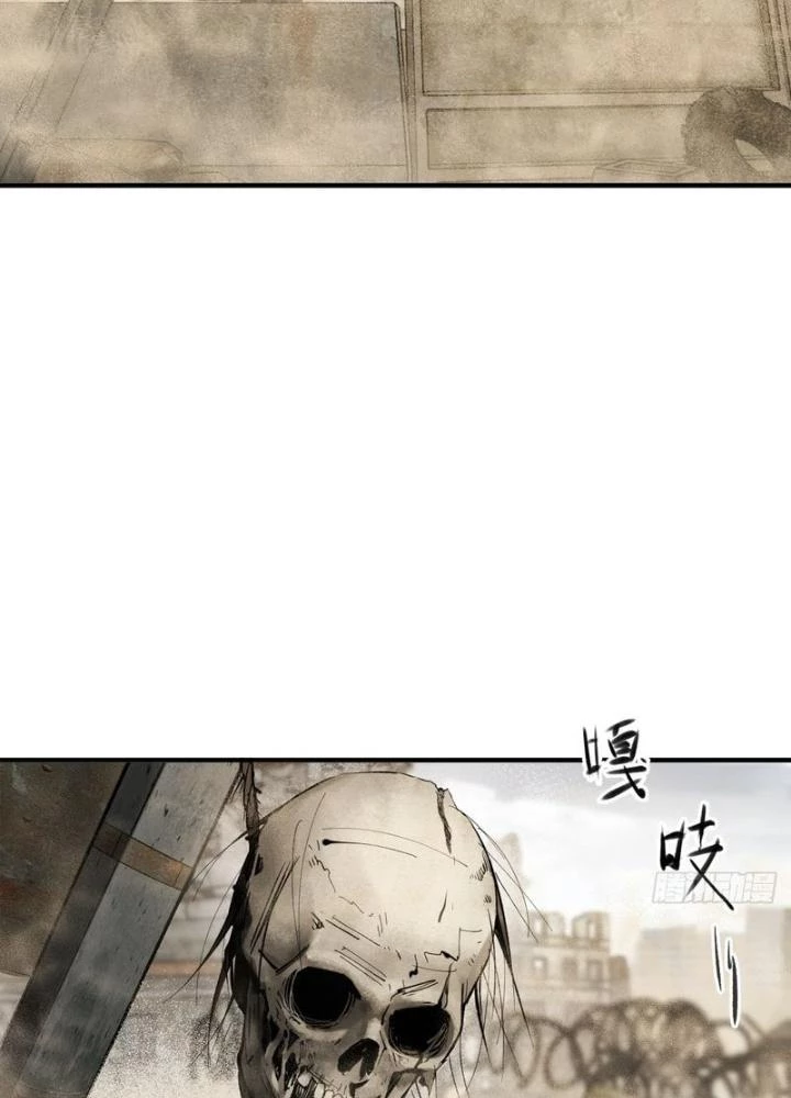 Xuyên Không Thành Chim Chapter 252 - Next Chapter 253