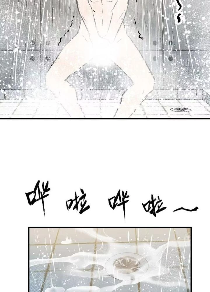 Xuyên Không Thành Chim Chapter 258 - Trang 2