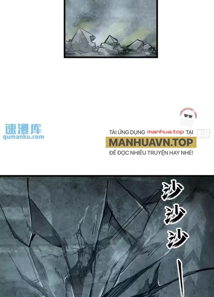 Xuyên Không Thành Chim Chapter 265 - Trang 2