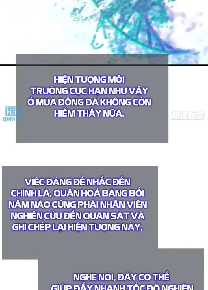Xuyên Không Thành Chim Chapter 266 - Trang 2