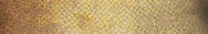 Xuyên Không Thành Chim Chapter 268 - Trang 2