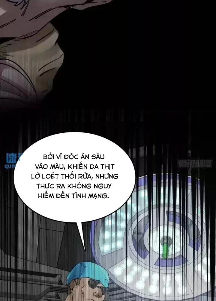 Xuyên Không Thành Chim Chapter 269 - Trang 2