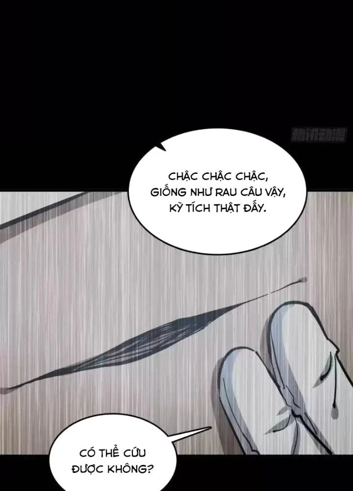 Xuyên Không Thành Chim Chapter 269 - Trang 2