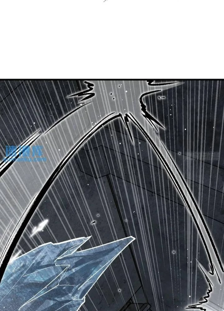 Xuyên Không Thành Chim Chapter 270 - Trang 2