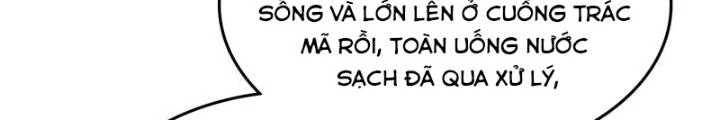 Xuyên Không Thành Chim Chapter 277 - Trang 2
