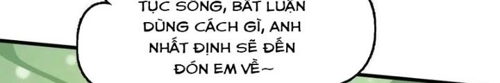 Xuyên Không Thành Chim Chapter 287 - Trang 2