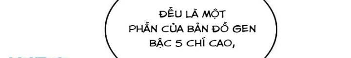 Xuyên Không Thành Chim Chapter 287 - Trang 2