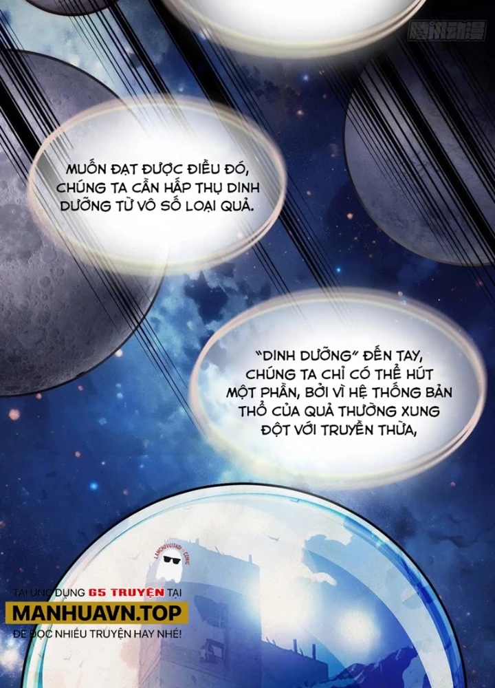Xuyên Không Thành Chim Chapter 292 - Trang 2
