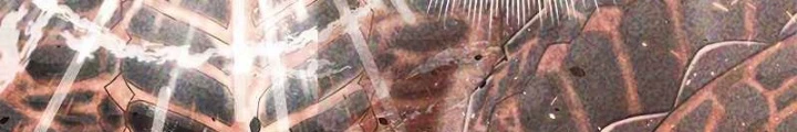 Buff May Mắn Chapter 6 - Next Chapter 7