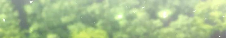 Buff May Mắn Chapter 6 - Next Chapter 7