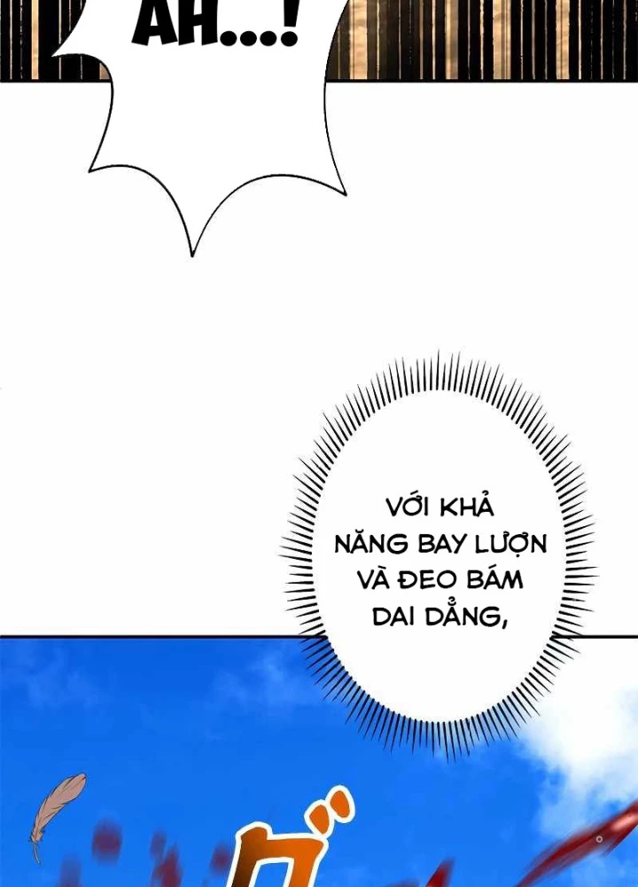 Buff May Mắn Chapter 7 - Next Chapter 8