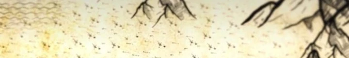 Buff May Mắn Chapter 10 - Trang 3