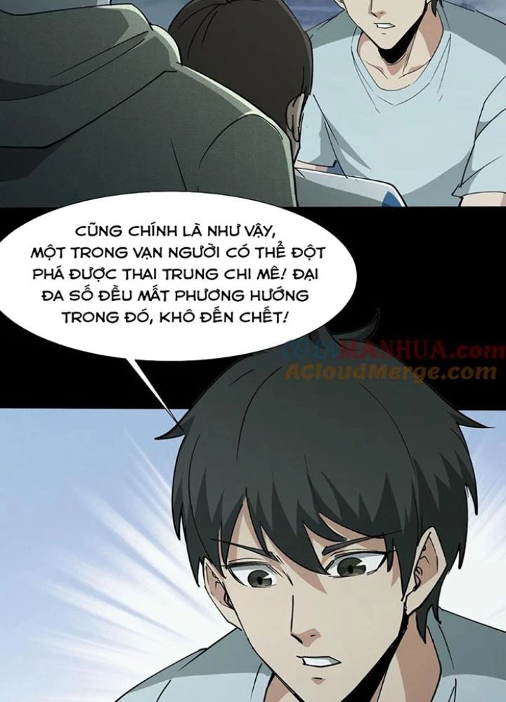 Ngày Tôi Sinh Ra, Bách Quỷ Dạ Hành, Tuyết Thi Hộ Đạo Chapter 234 - Trang 3