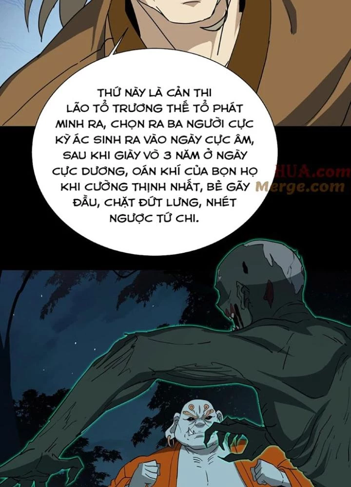 Ngày Tôi Sinh Ra, Bách Quỷ Dạ Hành, Tuyết Thi Hộ Đạo Chapter 239 - Trang 3